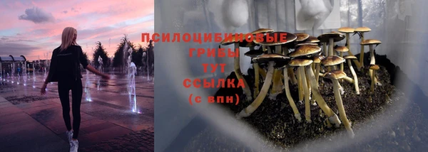 тгк Арсеньев