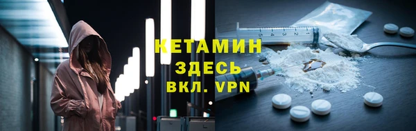 индика Аркадак