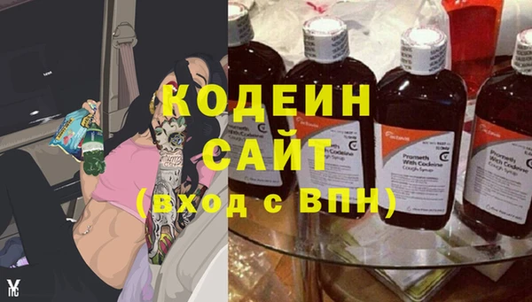 индика Аркадак
